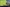 Brooklands Trustpilot