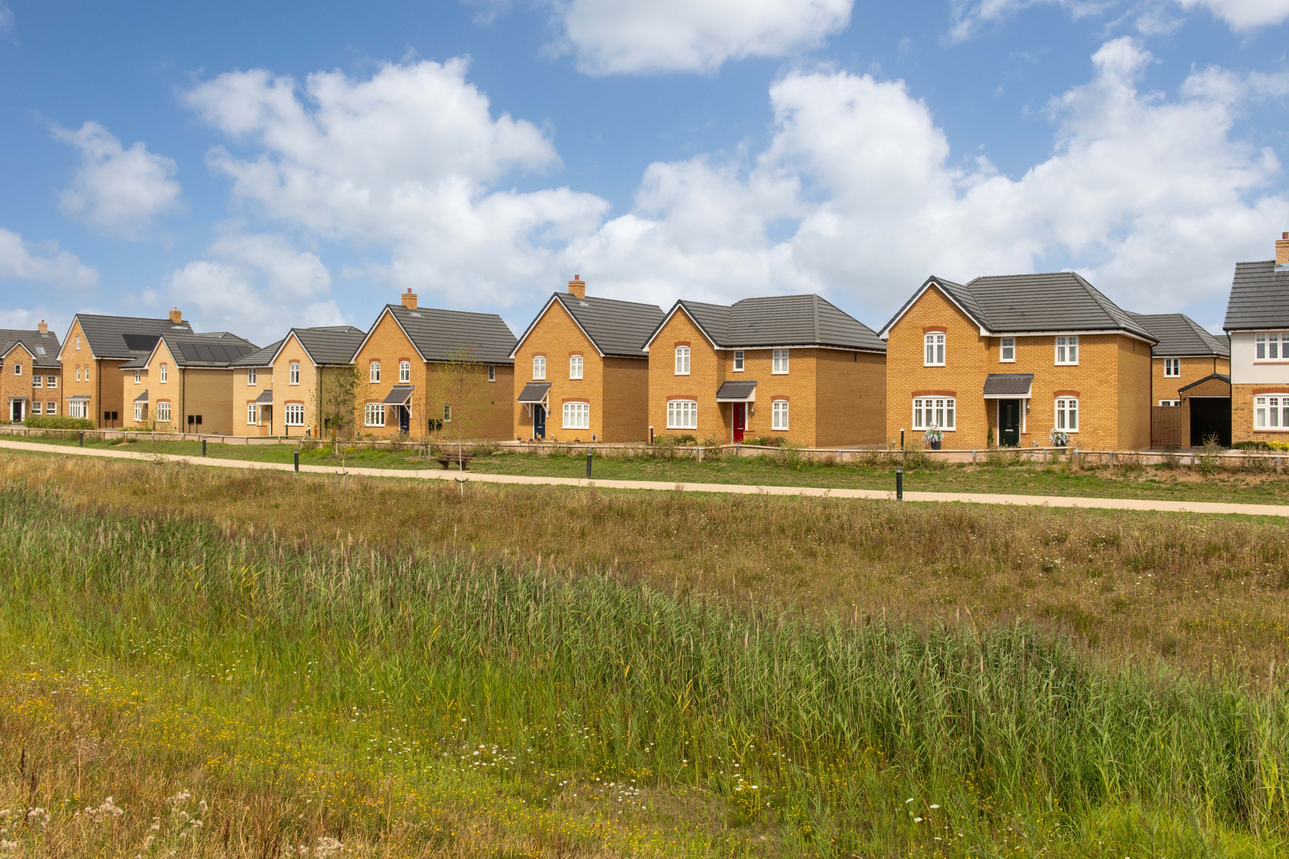 BAR NN Willow Grove BH street scene