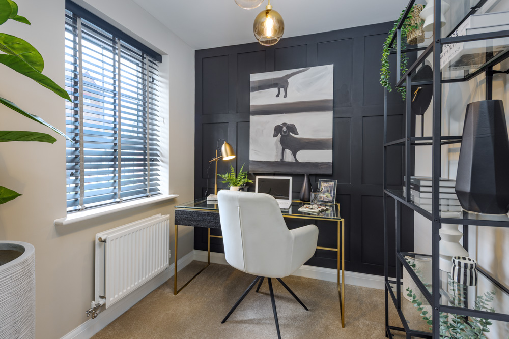 AfonLas_Radleigh study