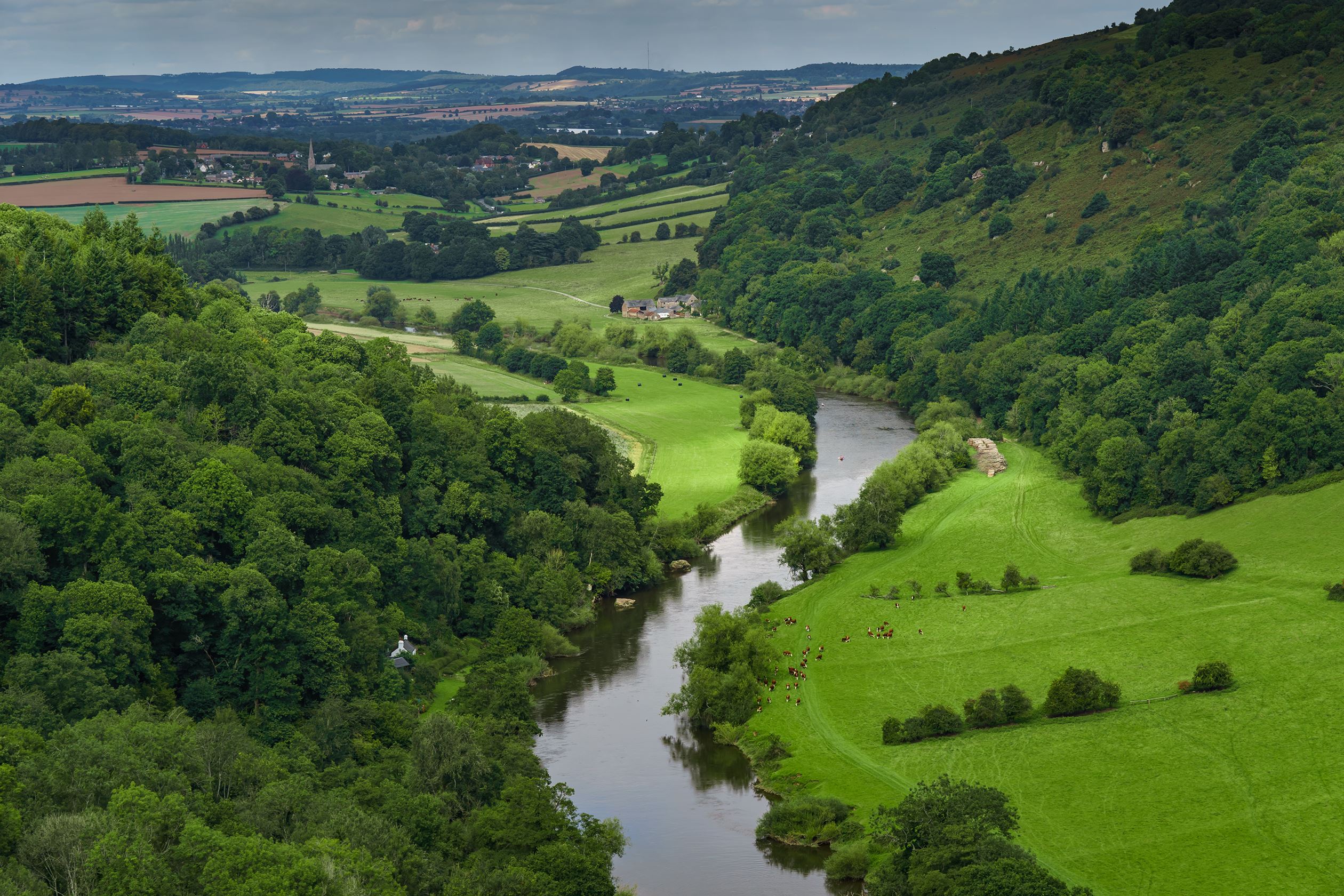 Forest Grove Coleford Forest of Dean Wye valley local area