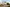 Alderney_HollyView