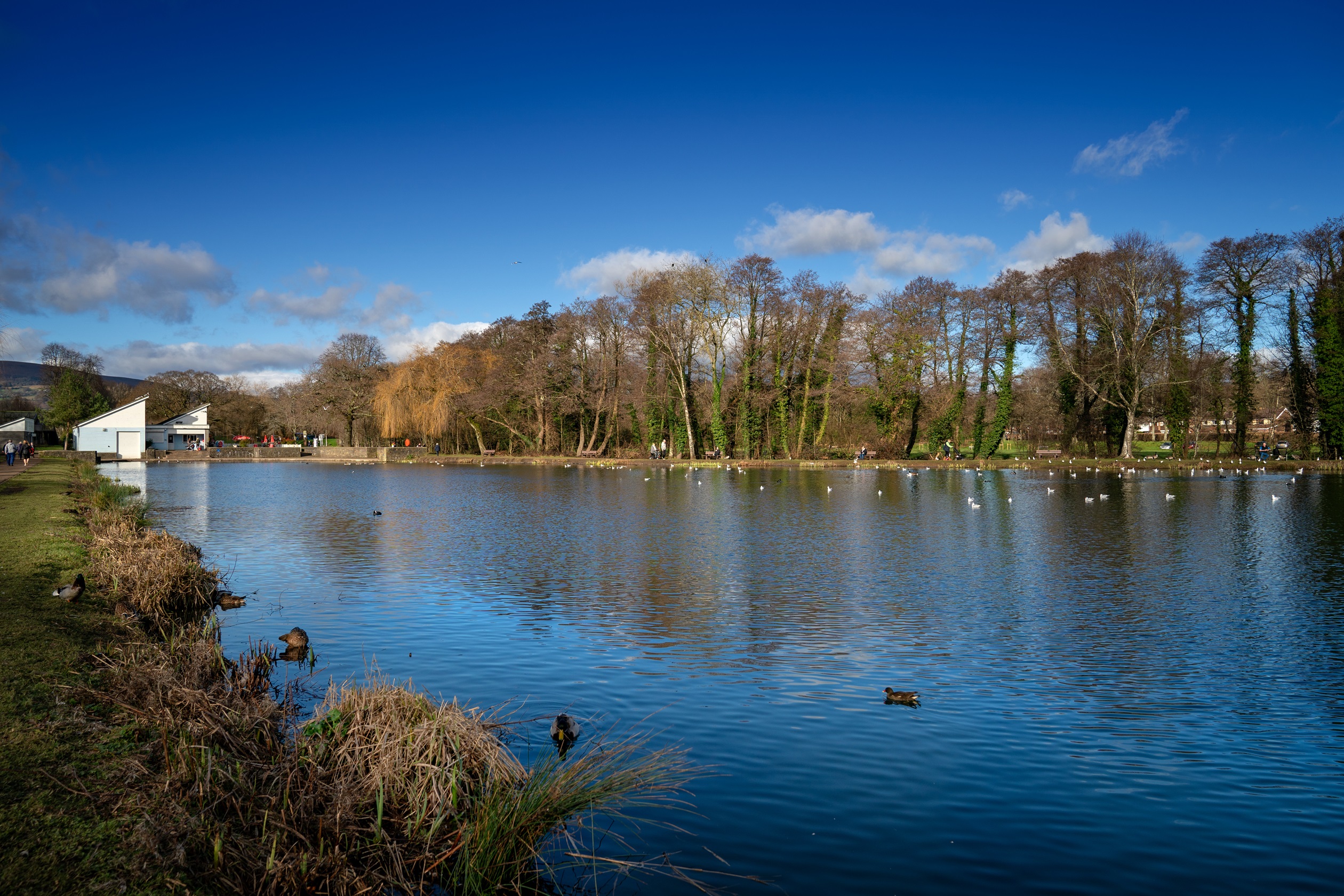 Cwmbran Boating Lake