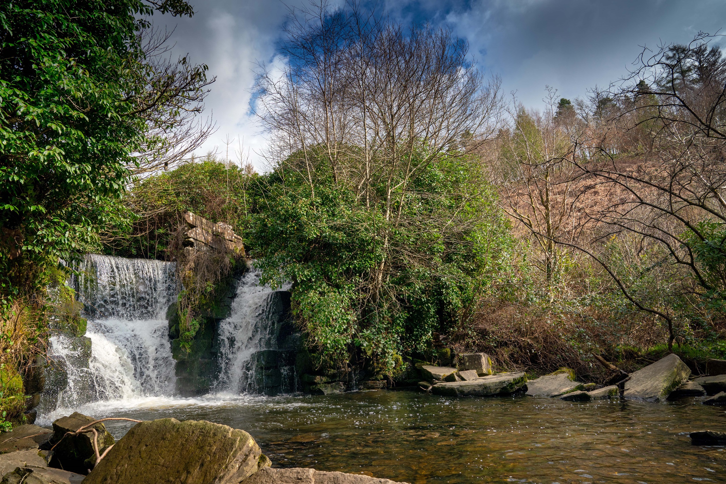 Penllergare valley woods in Penllergaer