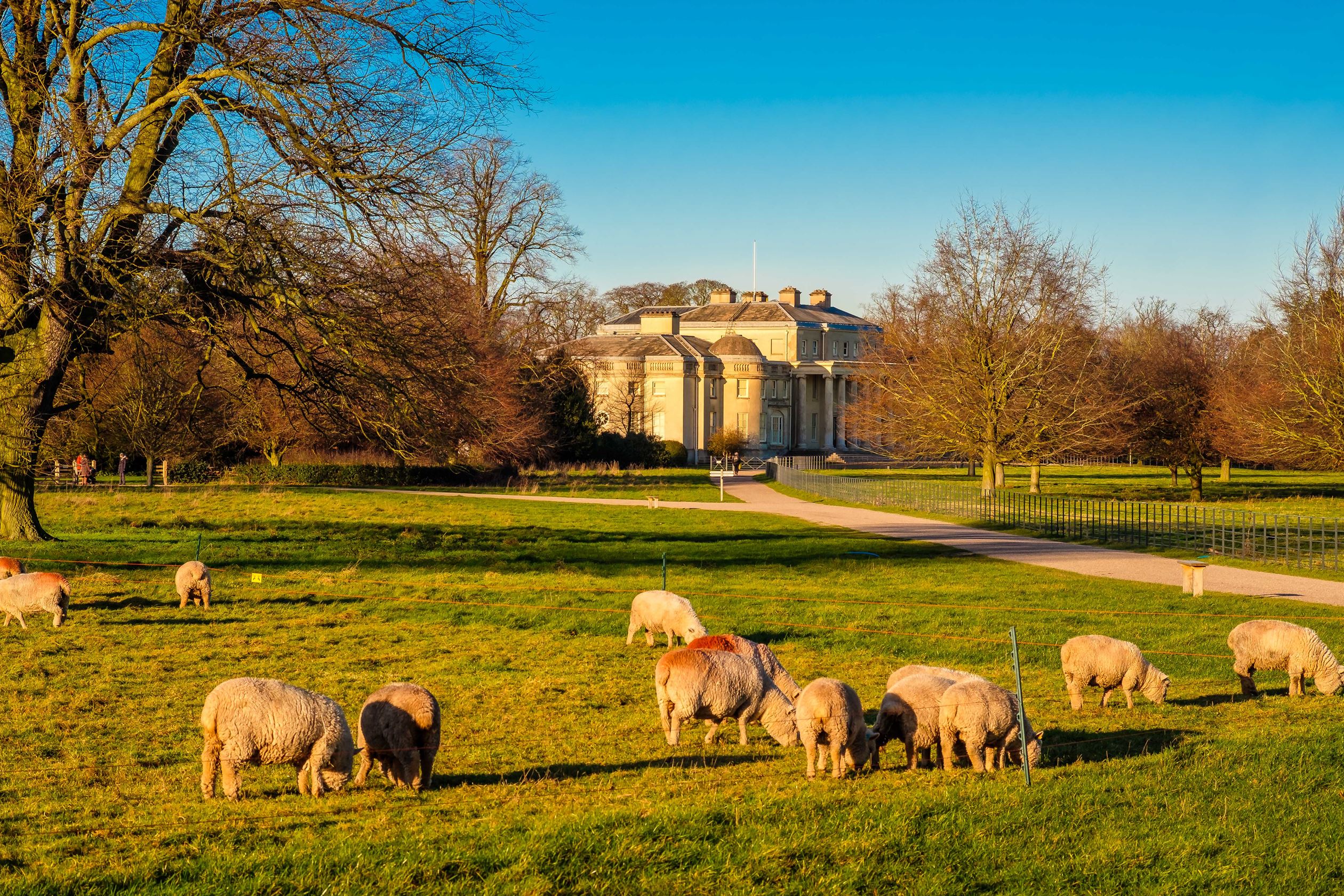 Deer's Rise New Build Houses in Cannock Barratt Homes