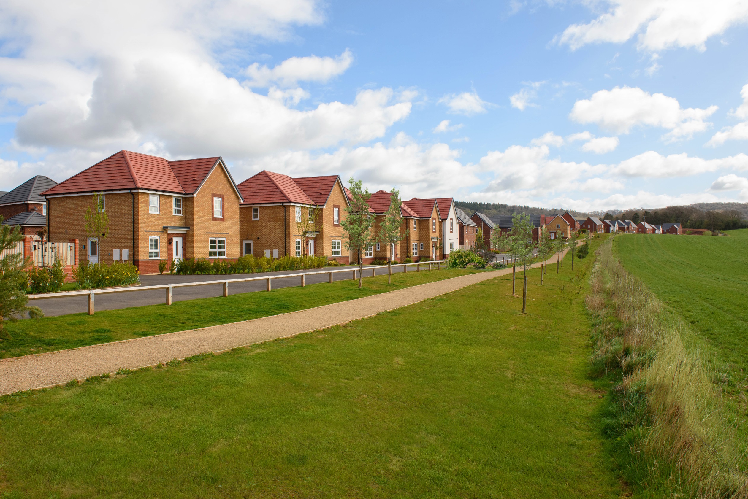 Exterior street scene of our 4 bed Radleigh home