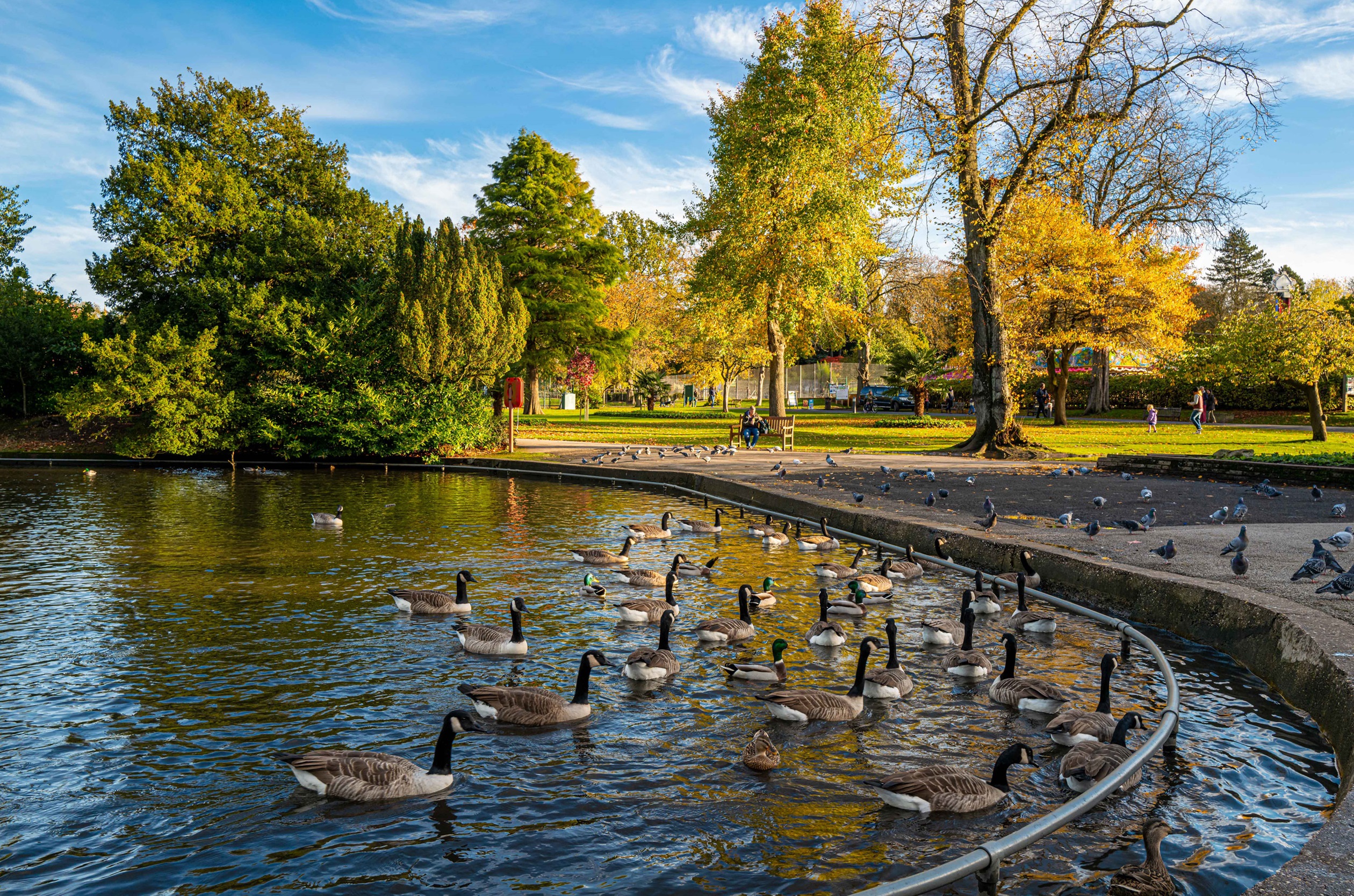Cannon Hill Park and MAC