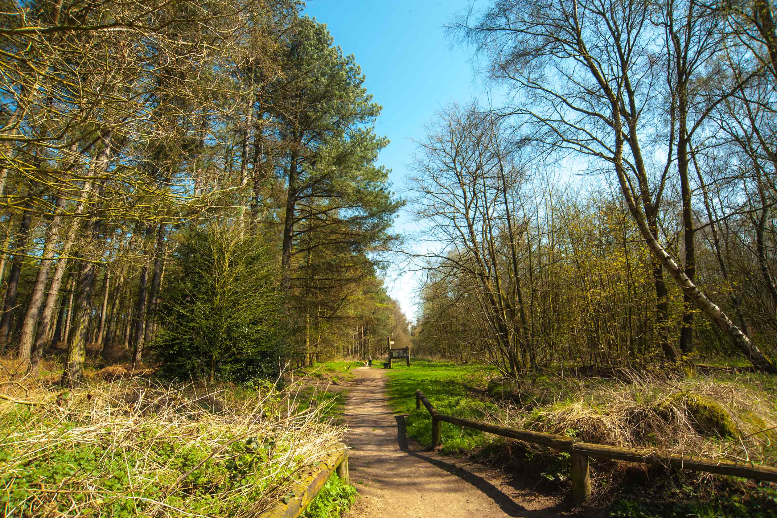 Thornton View New homes in East Kilbride, South Lanarkshire Barratt