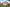 Image alt text