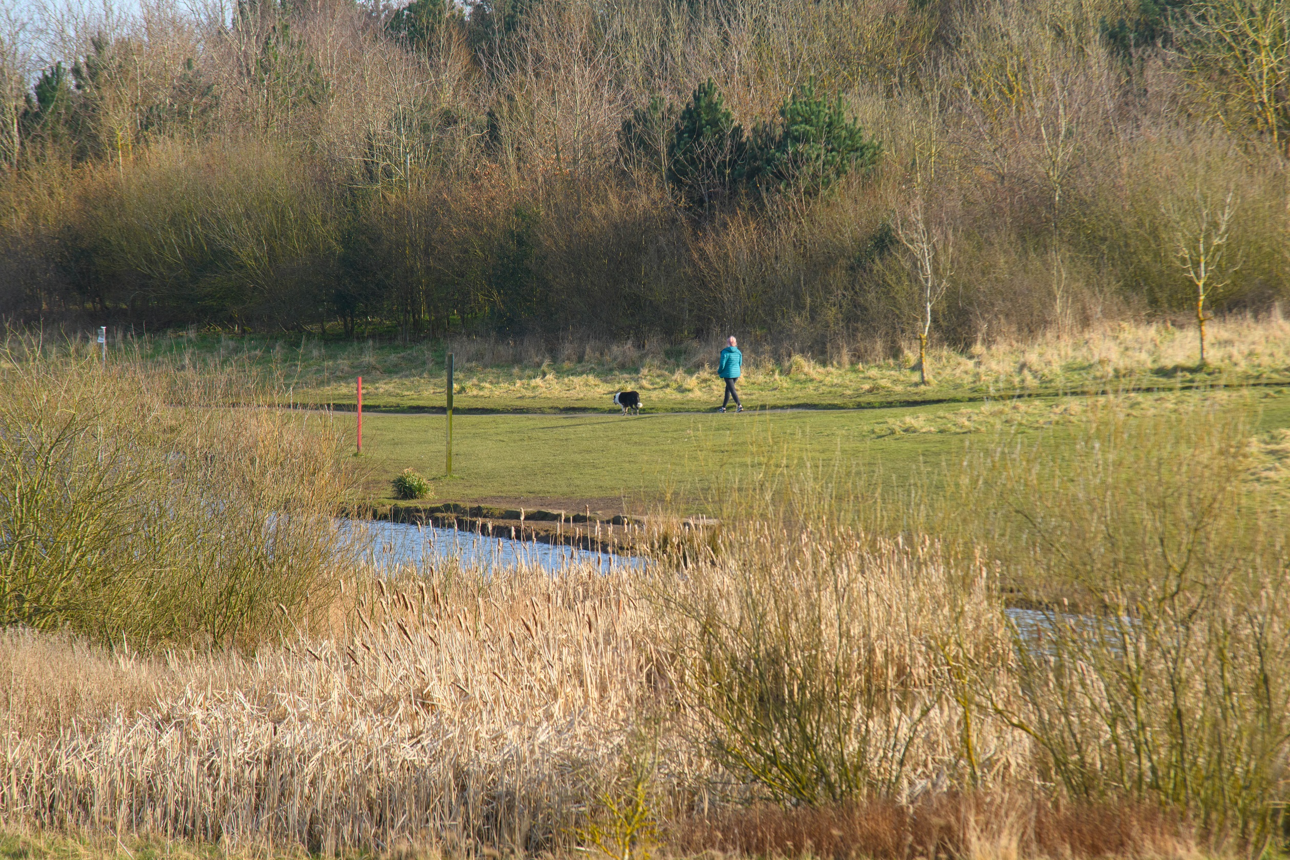 Countryside walks at Church Fields