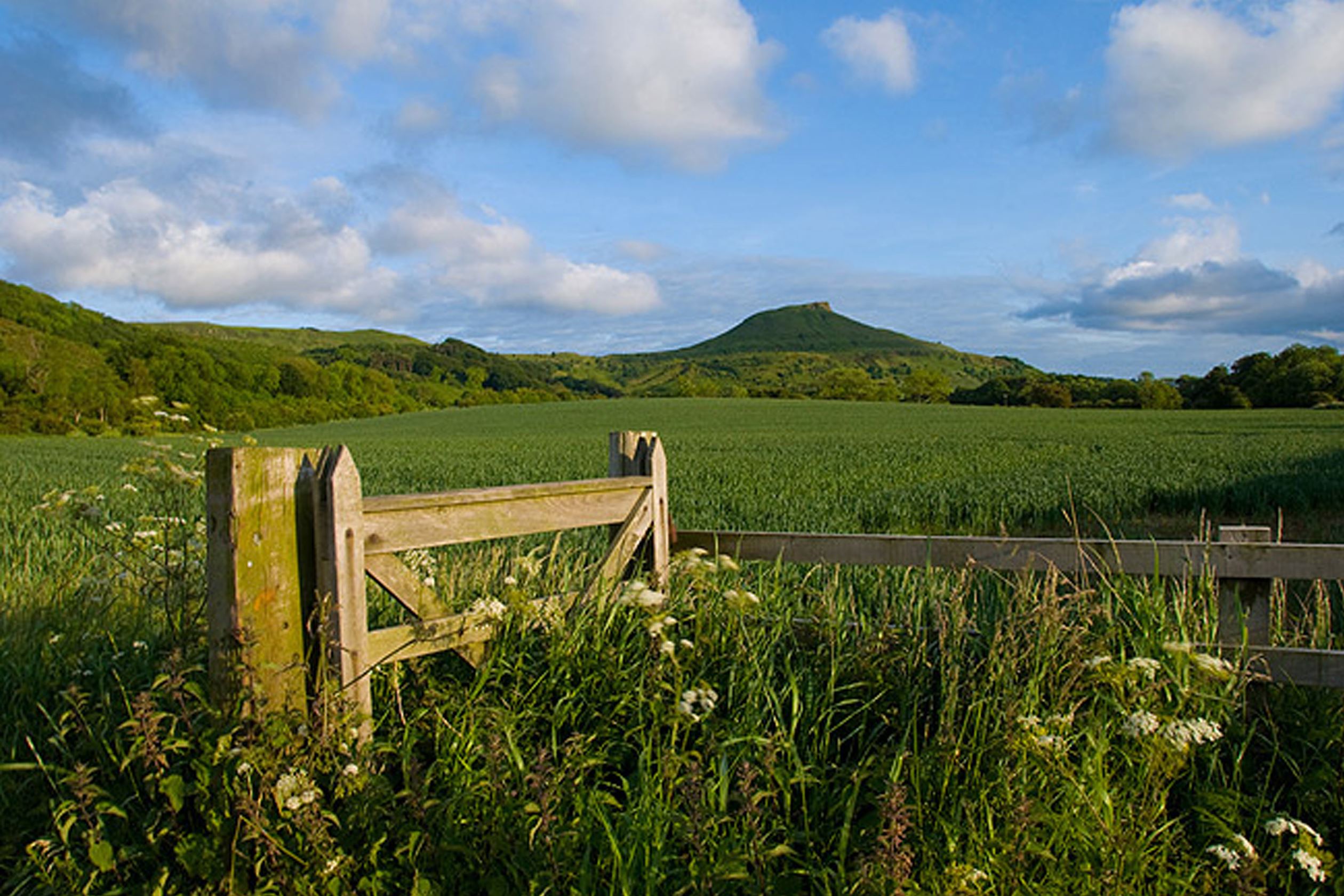 Roseberry Topping near Grey Towers Village