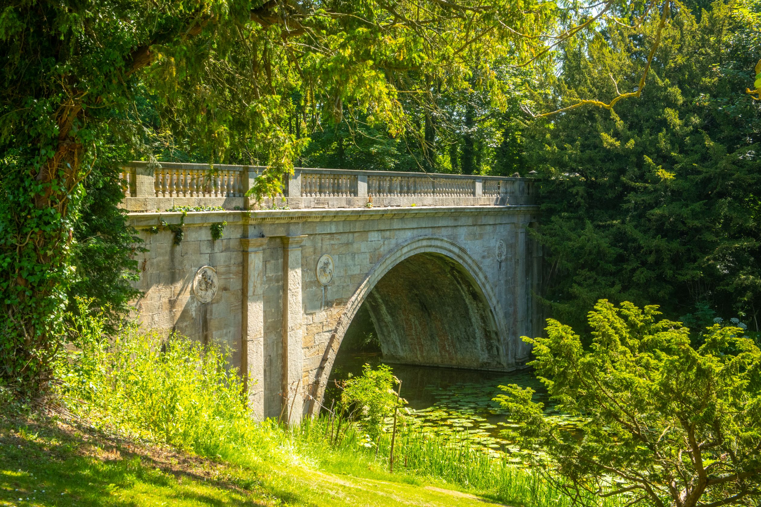 River walks at Highgrove