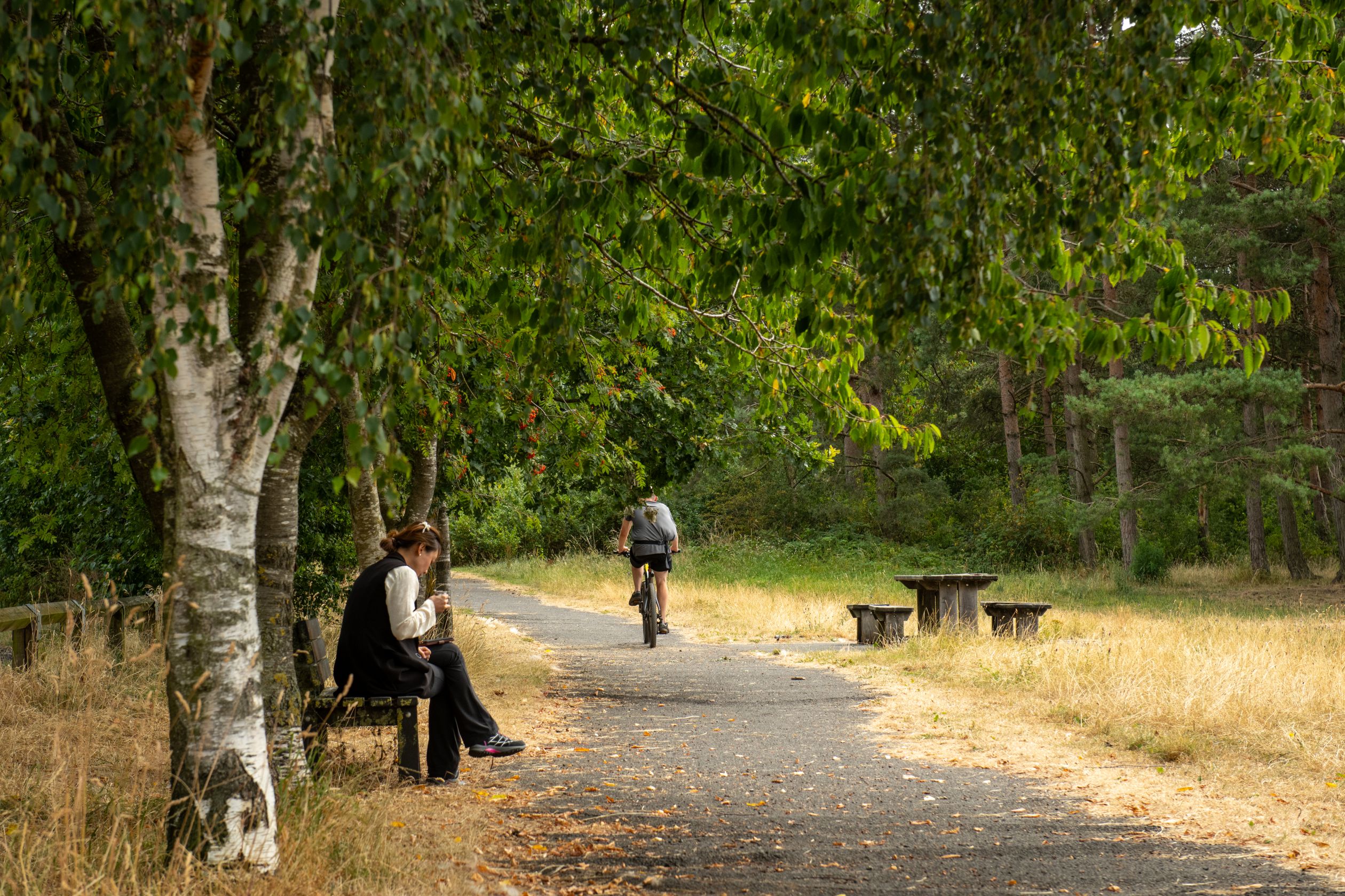Country park walks