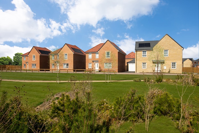 Meadow Hill