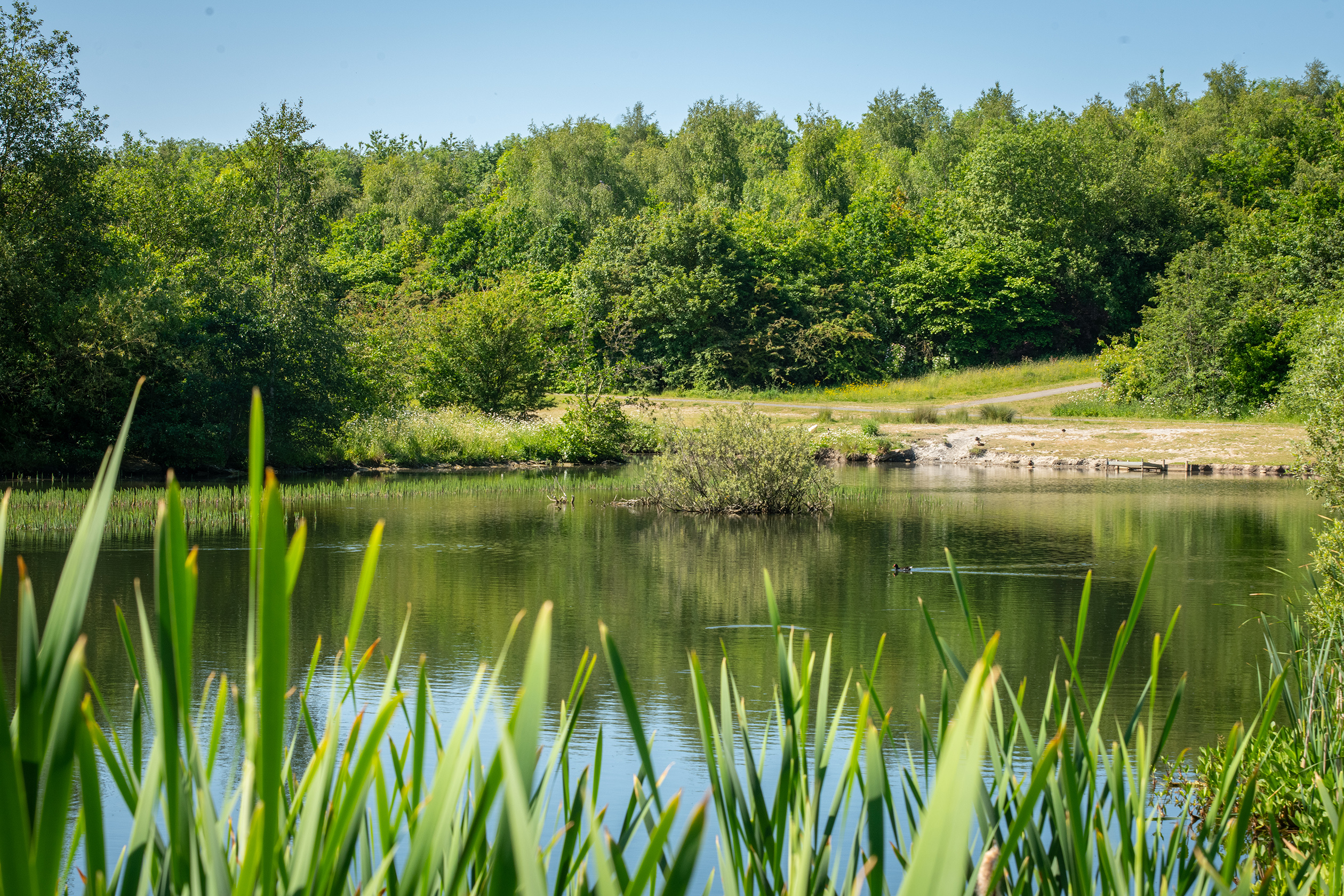 Monkton Gardens lifestyle