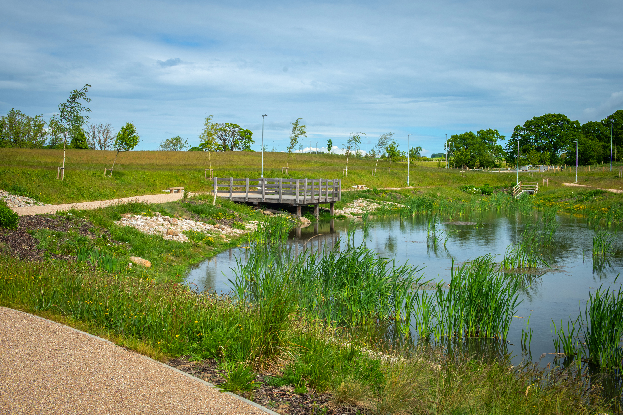 Pond at Laurel Chase