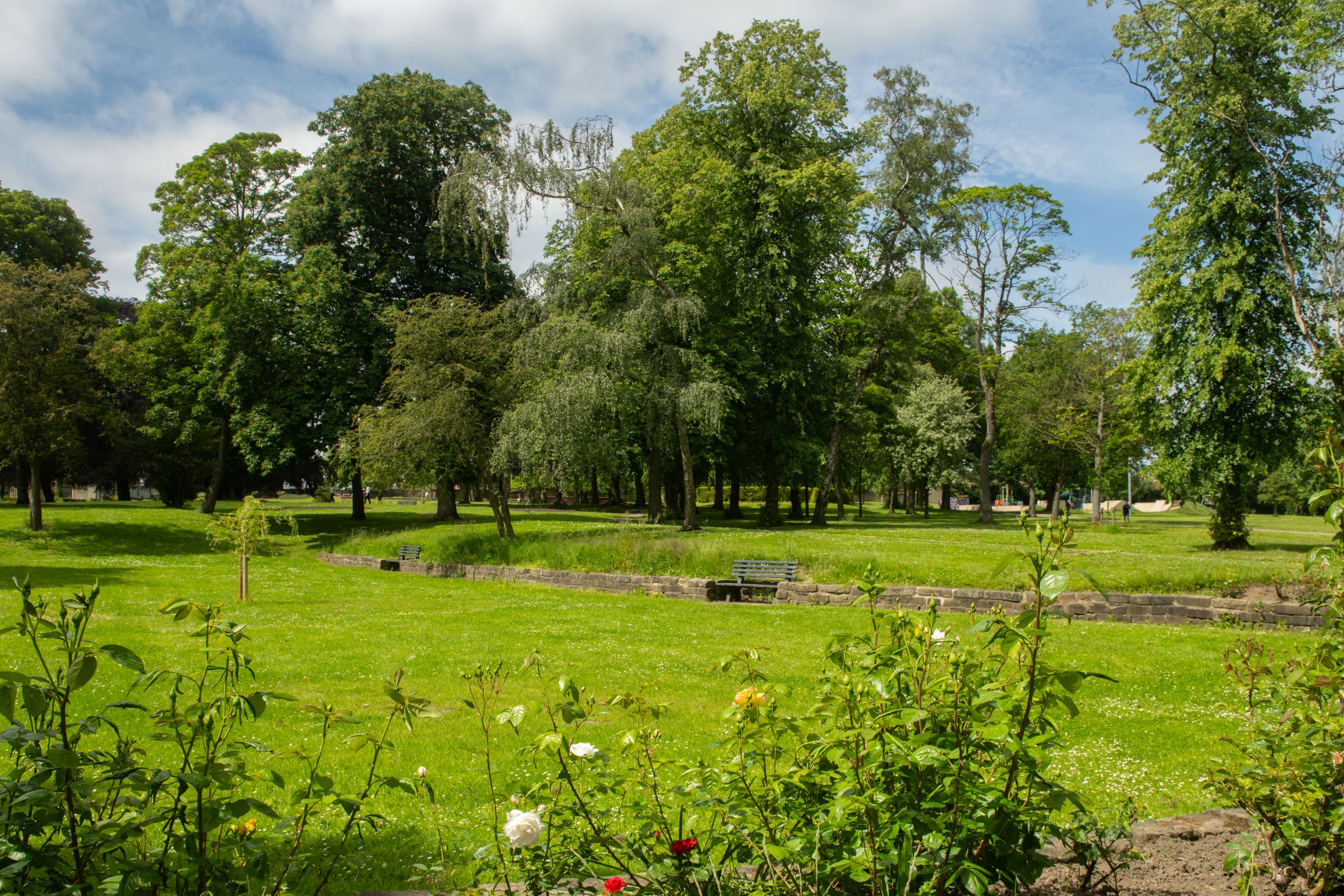 LOCAL AREA