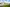 DEV-001178-Charleston-Green_Street scenes_Lowres_150824_05