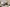 DEV002497_Ballater_H469_05