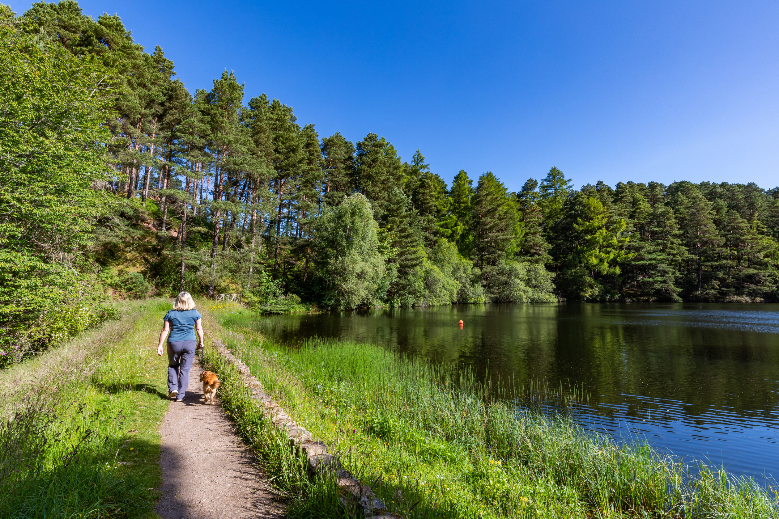 Local area green open space with trees and path along riverside