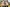 DEV-001009_Findrassie_Team_2023_002