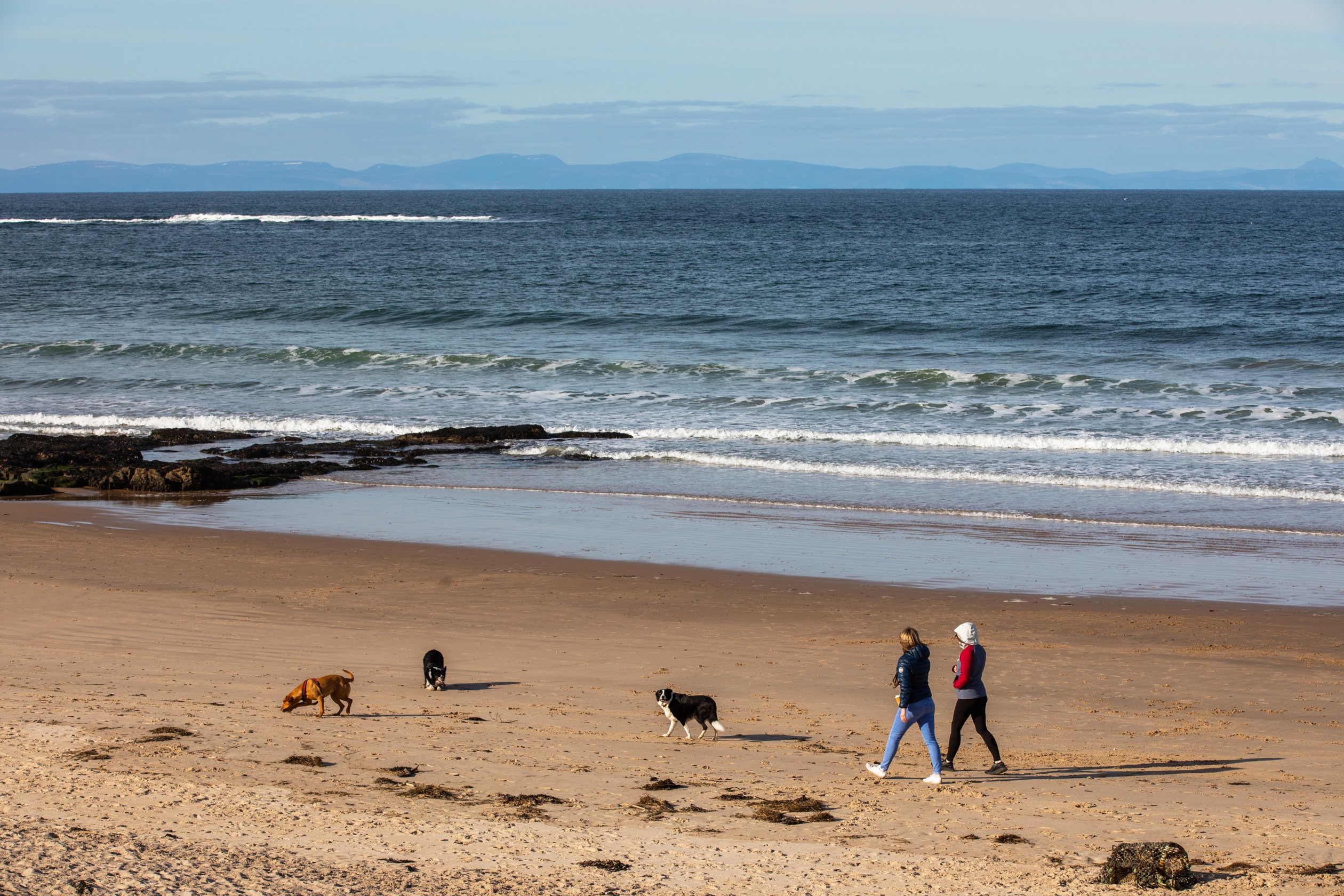 Ladies with dogs walking along the beach