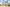 Findrassie_BAR_dev001009_Campbell_2023_005