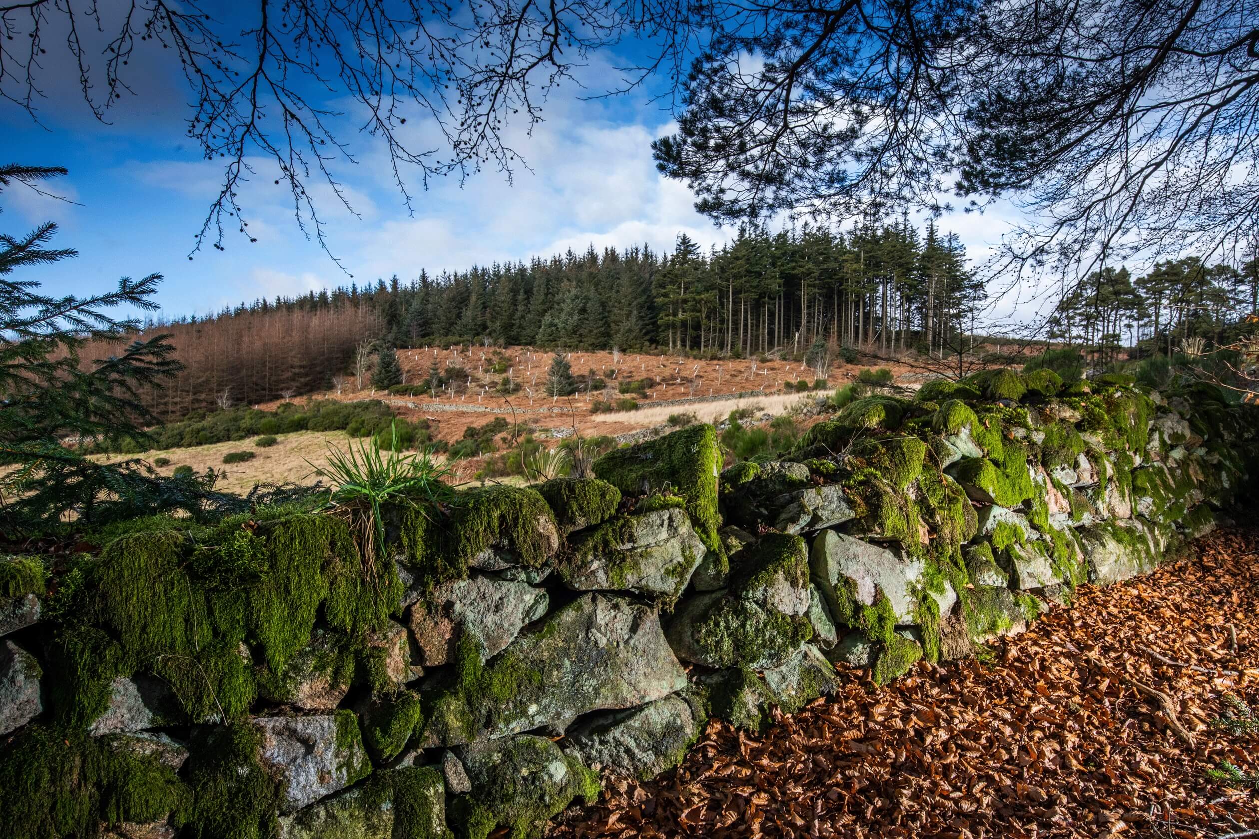 Hopecroft View New homes in Bucksburn, Aberdeen City Barratt Homes