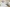DEV001785_Huntingtower_Fenton_BFOE_04.10.24_038