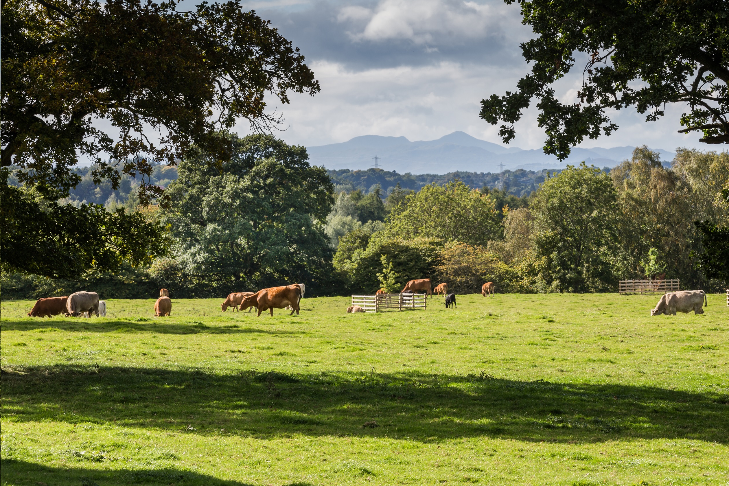 DEV001785_Huntingtower_Local area_002