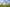 Huntingtower_DEV001785_Abergeldie_2023_006