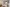 DEV-002586_Keiller's Rise_Isla_BILA_04.10.2024_014