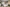 DEV-002586_Keiller's Rise_Isla_BILA_04.10.2024_017