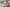 DEV-002586_Keiller's Rise_Isla_BILA_04.10.2024_021