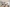 Keillers Rise_DEV-002586_Dean_BDNE_220823_009
