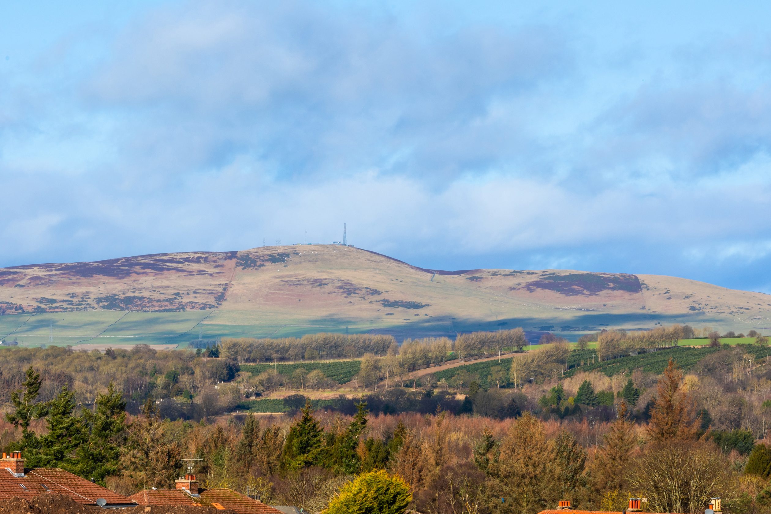 DEV-002586_North View 2nd Fl Plot 202 Tay_029