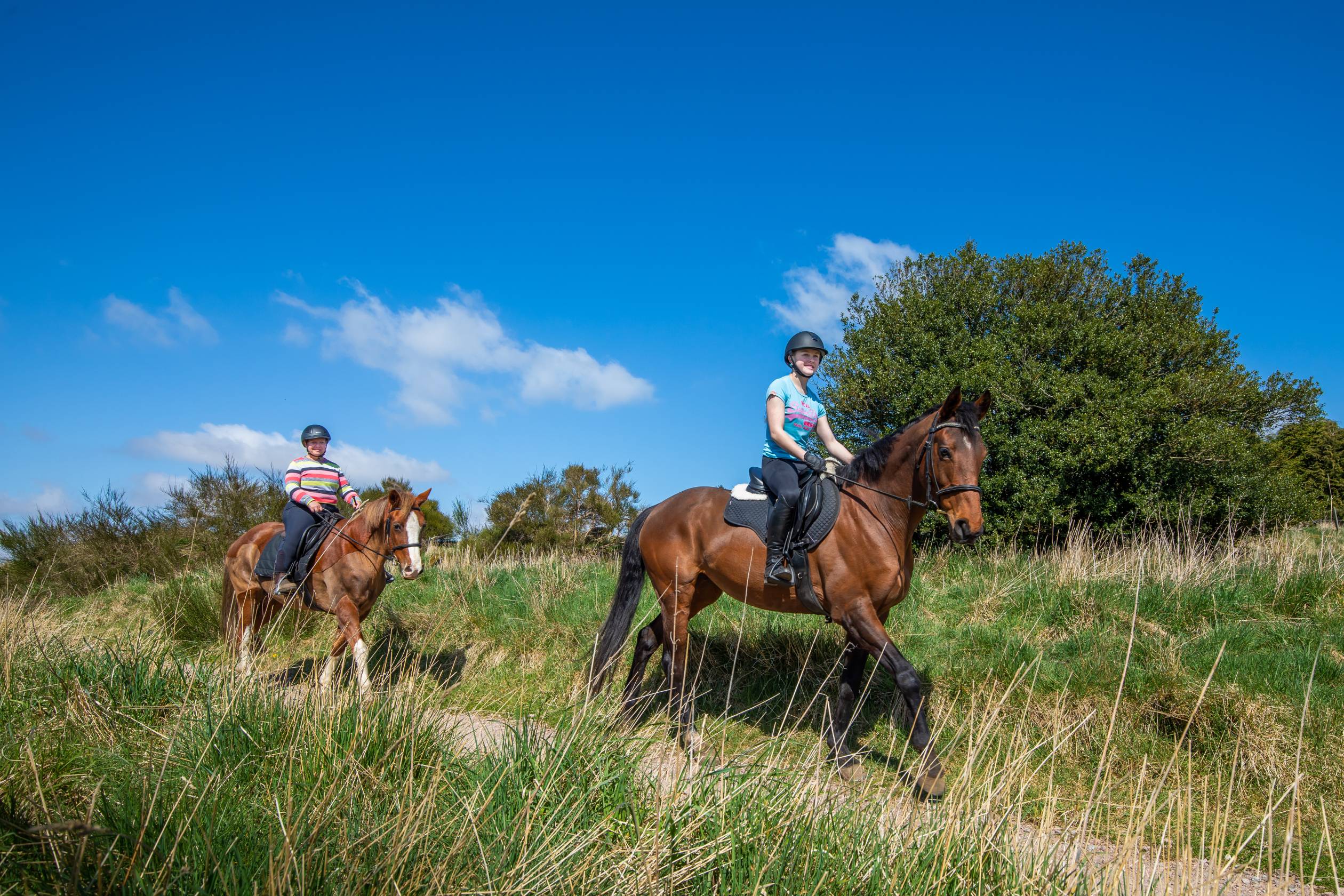People on horses, nature