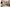 DEV001532_Cupar_BCUP_Ness Castle_Internal_120423_03