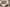 DEV001532_Cupar_BCUP_Ness Castle_Internal_120423_36