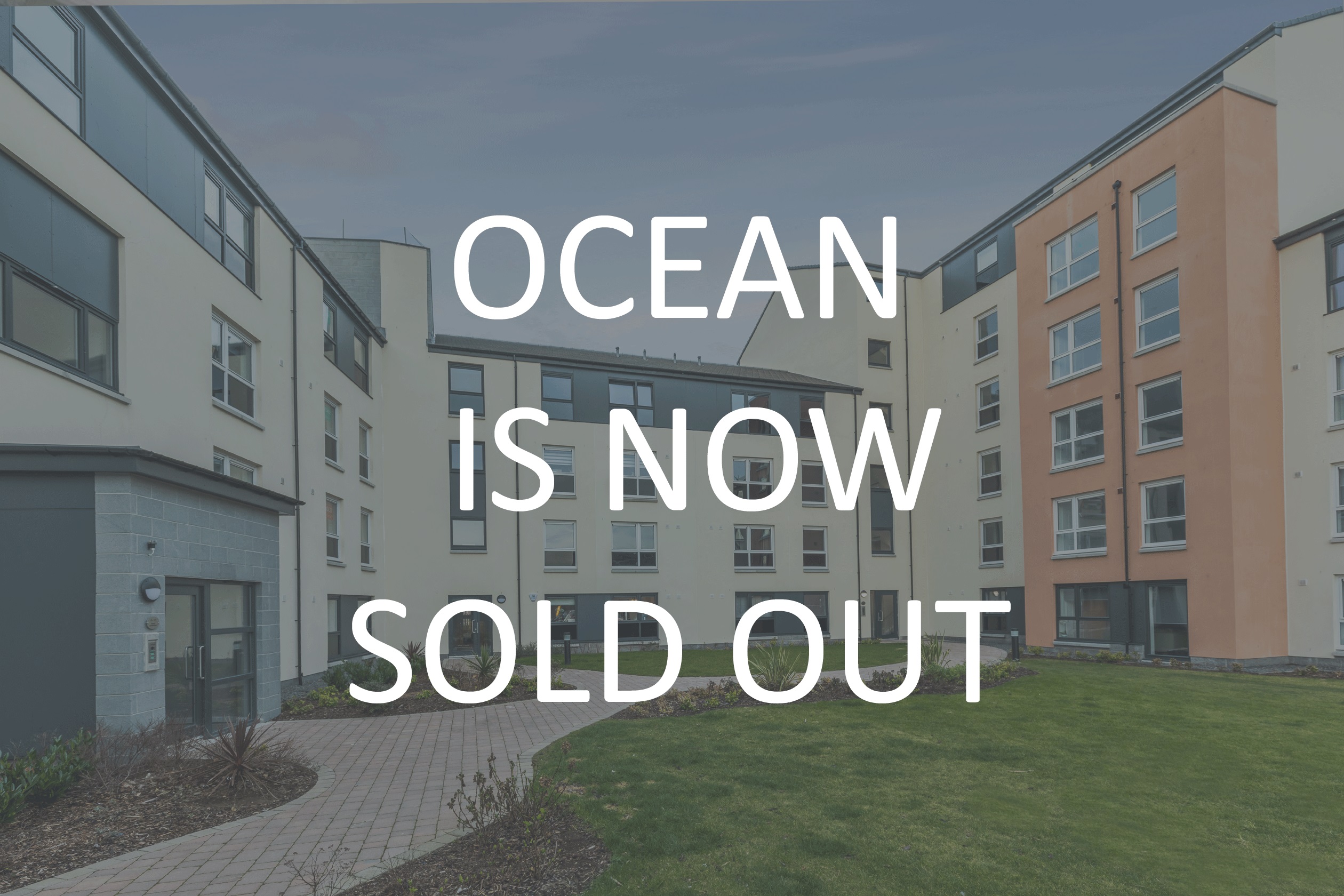 H6576-Ocean-is-now-Sold-Out
