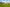 DEV000667_Osprey Heights_Street Scenes_2024_003