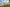 DEV000667_Osprey Heights_Street Scenes_2024_008