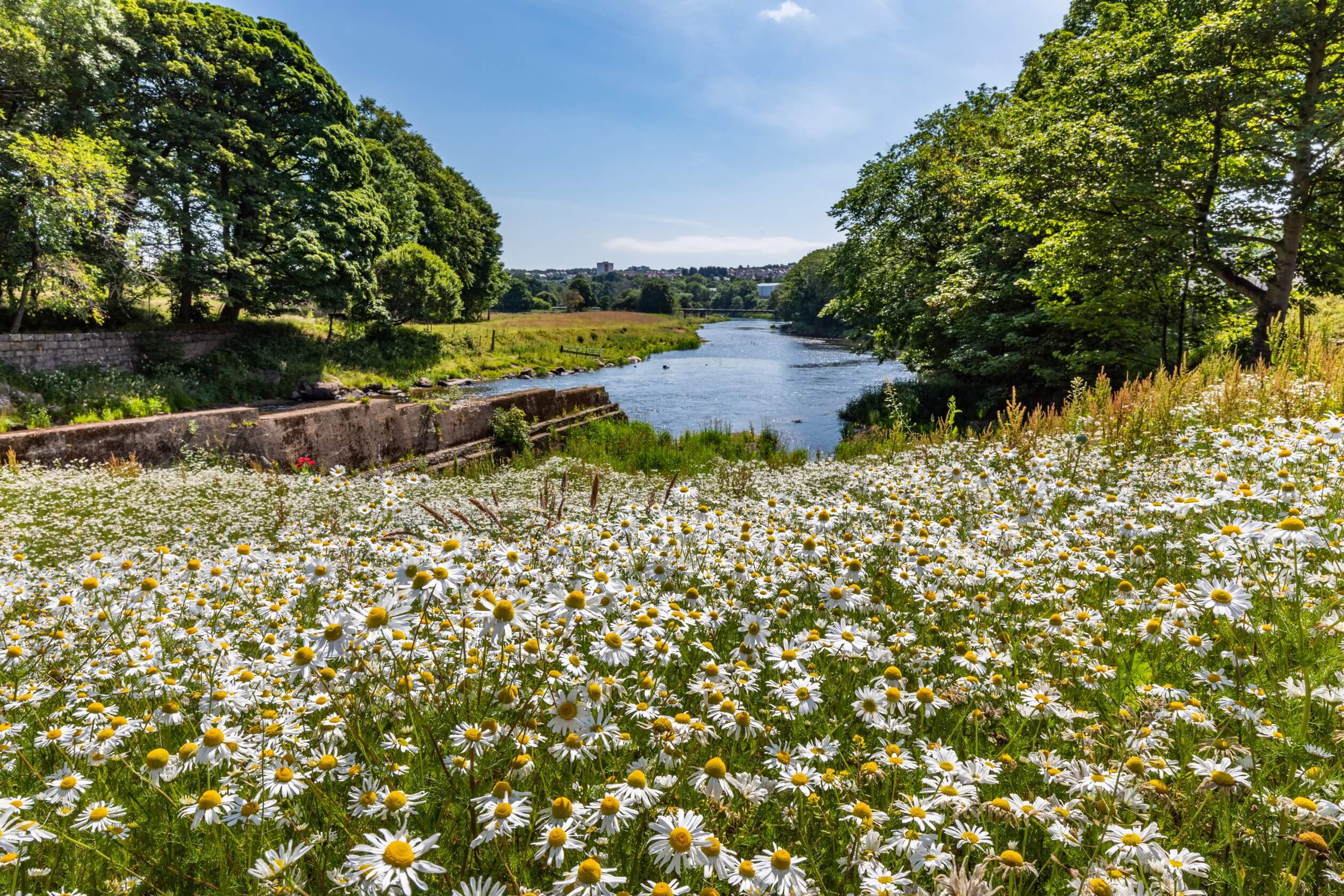 Country view of River Don and city of Aberdeen in background