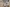Campbell_BCBL_DEV-002606_270723_09