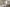 Campbell_BCBL_DEV-002606_270723_11