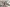 Campbell_BCBL_DEV-002606_270723_16