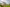 Campbell_BCBL_DEV-002606_270723_25