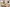 Open-plan kitchen/diner in Hesketh with French doors to gardenb