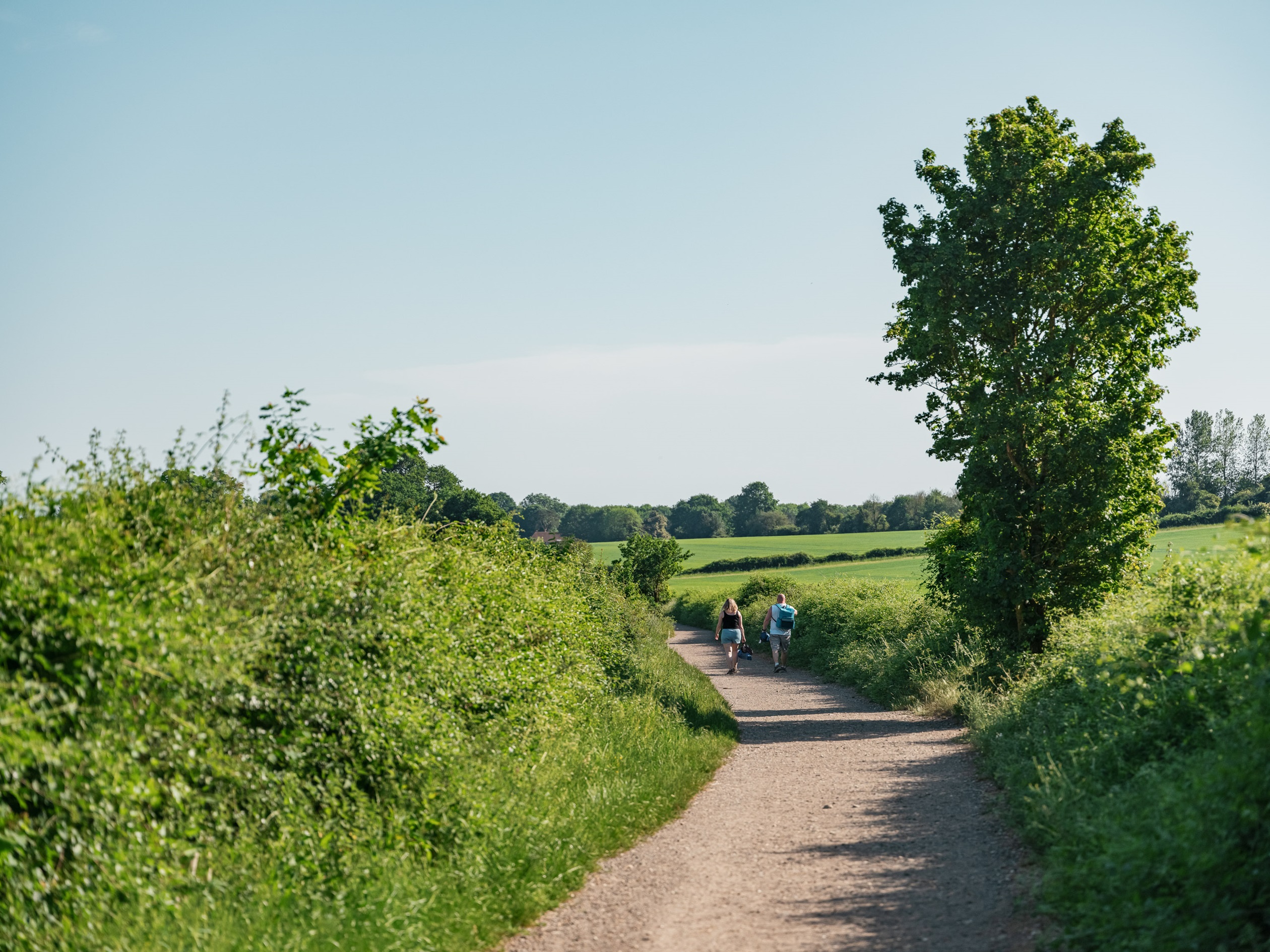 Local area shot of kingley vale 