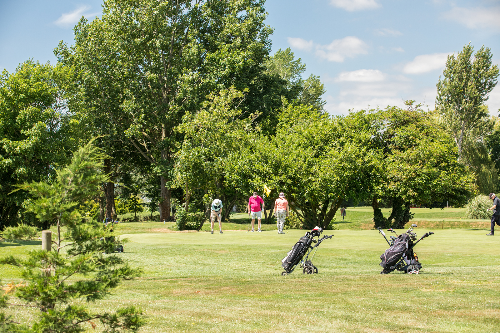Local area shot of the avisford golf club