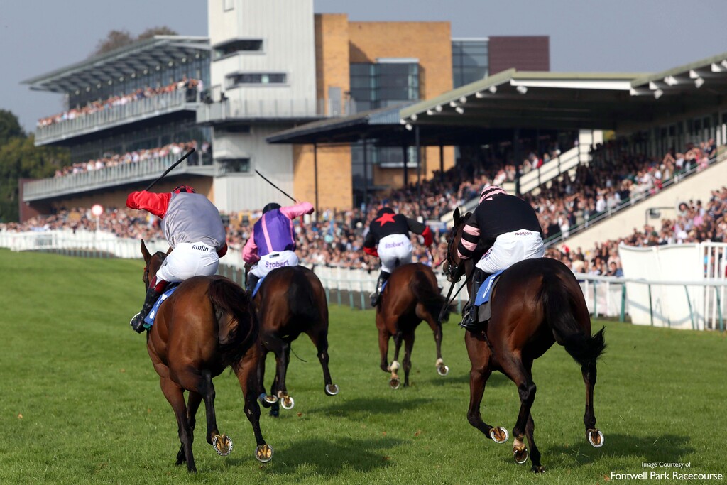 Local area shot of fontwell racecourse